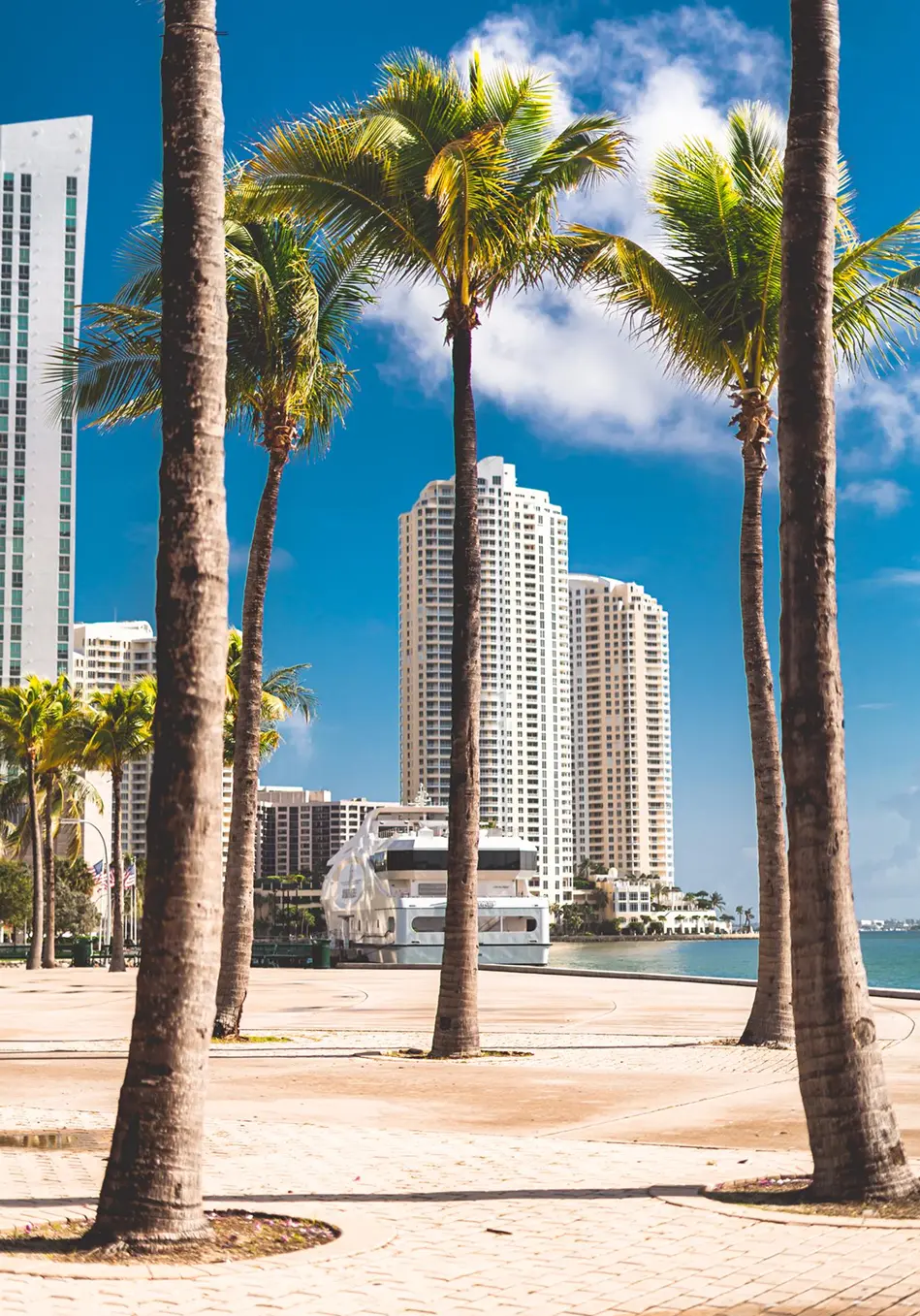 Miami waterfront promenade with tall palm trees, luxury high-rise buildings, and a yacht on a sunny day